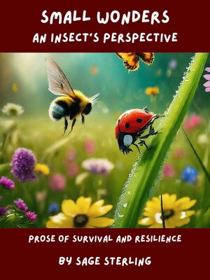 cover image of Small Wonders